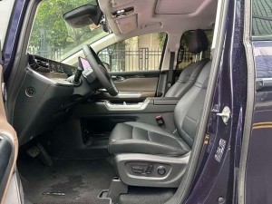 GAC Trumpchi E8 PHEV