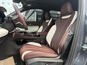 Geely Monjaro (Xingyue L)