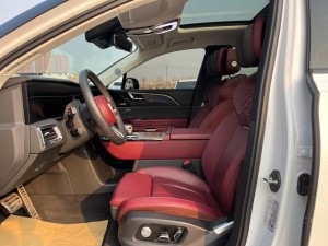 Hongqi E-HS9