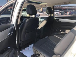 BYD Song MAX DM