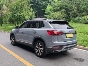 Volkswagen Tanyue