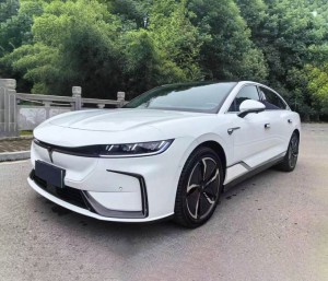 Voyah Passion EV