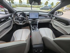 BYD Qin PLUS DM