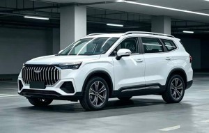 Geely Okavango (Haoyue L)
