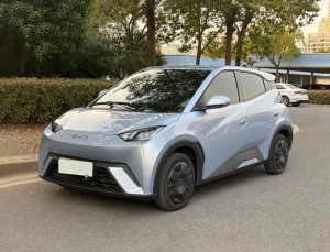 BYD Seagull