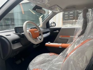 Changan Lumin