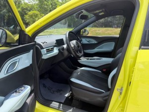 BYD Seagull