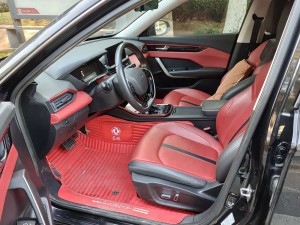 Dongfeng Yixuan GS