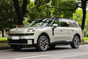 Lynk & Co 900
