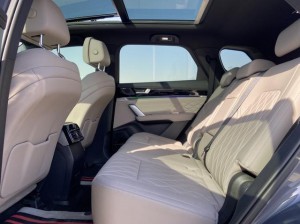 BYD Tang DM