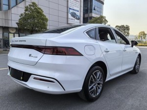 BYD Qin PLUS DM