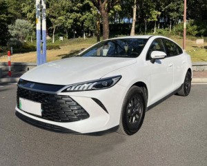 BYD Qin PLUS DM