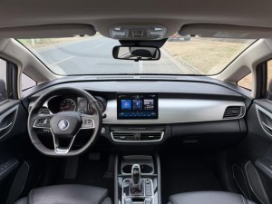 BYD Song MAX DM