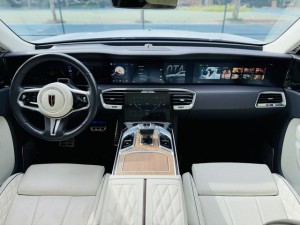 Hongqi E-HS9