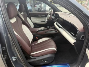 Geely Monjaro (Xingyue L)