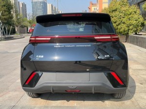 BYD Seagull