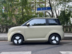 Changan Lumin