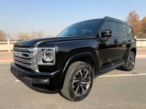 Haval H9