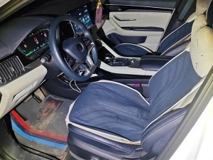 BYD Song PLUS DM