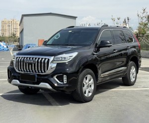 Haval H9