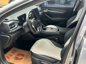 BYD Destroyer 05