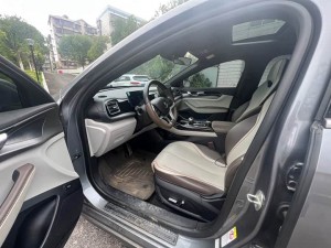 BYD Qin PLUS EV