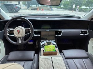 Hongqi E-HS9