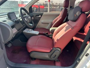 Changan Lumin