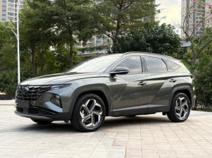 Hyundai Tucson L (Tucson)