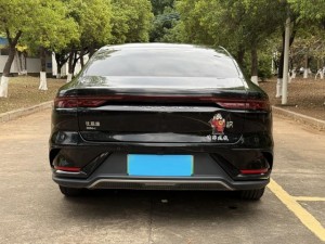 BYD HAN DM