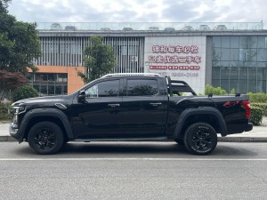 Foton Mars 7