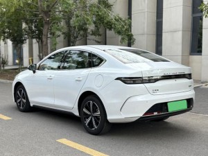 BYD Destroyer 05
