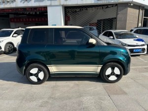 Changan Lumin