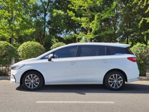 BYD Song MAX DM