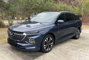 Wuling Capgemini Victory