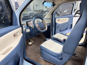 Dongfeng Scenery MINIEV