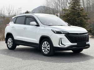 BAIC Beijing X3