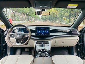 BYD Qin PLUS DM