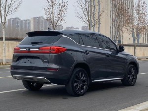 BYD Song DM