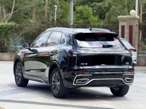 Hongqi HS5