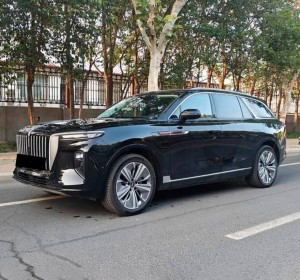 Hongqi E-HS9