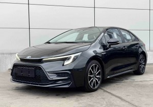 Toyota Levin (Lei Ling)