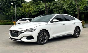 Hyundai Lafesta (Festa)