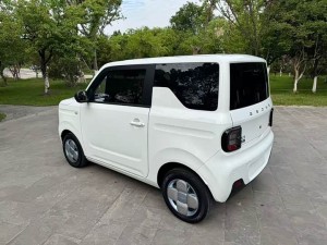 Geely Panda