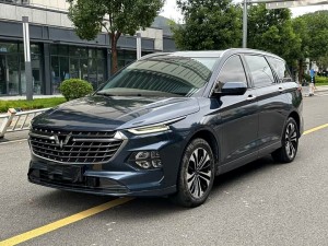 Wuling Capgemini Victory
