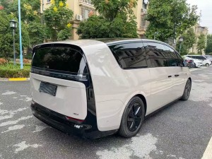 Li MEGA (Ideal MEGA)