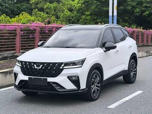 Wuling Xingchi