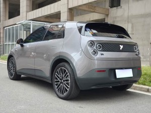 NIO Firefly