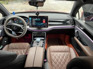 BYD Tang DM