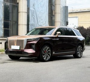 Hongqi E-HS9